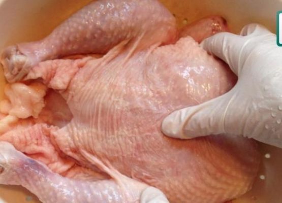 Cara Mengolah dan Memasak Daging Ayam Dengan Benar Cara Mengolah dan Memasak Daging Ayam Dengan Benar